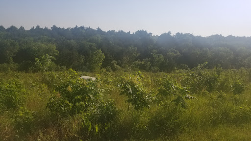 Winery «Liquid Art Winery And Estate», reviews and photos, 1745 Wildcat Creek Rd, Manhattan, KS 66503, USA