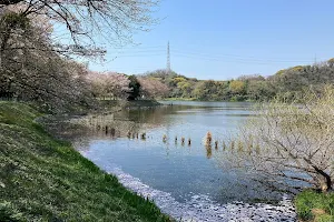 Naganariike Park image