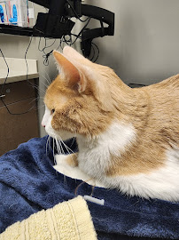 Care Center Dayton - Photo 4 - Car repair in Centerville, OH, Dayton