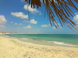 Photo de Miami Islands Village Beach avec un niveau de propreté de très propre