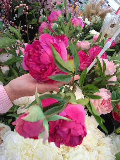 Craft Store «A.C. Moore Arts and Crafts», reviews and photos, 4250 Electric Rd, Roanoke, VA 24018, USA