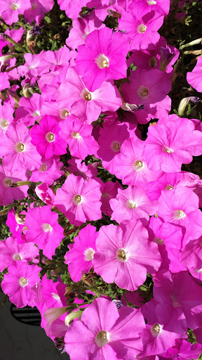 Bowling Alley «Crossgate Lanes», reviews and photos, 4230 Hunt Rd, Blue Ash, OH 45242, USA