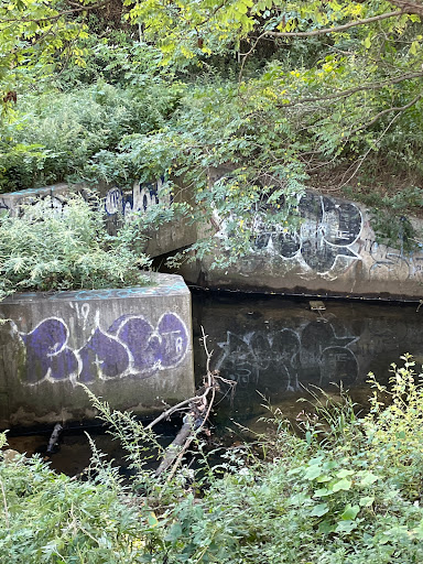 Nature Preserve «Brookside Preserve», reviews and photos, N Brookside Ave, Roosevelt, NY 11575, USA