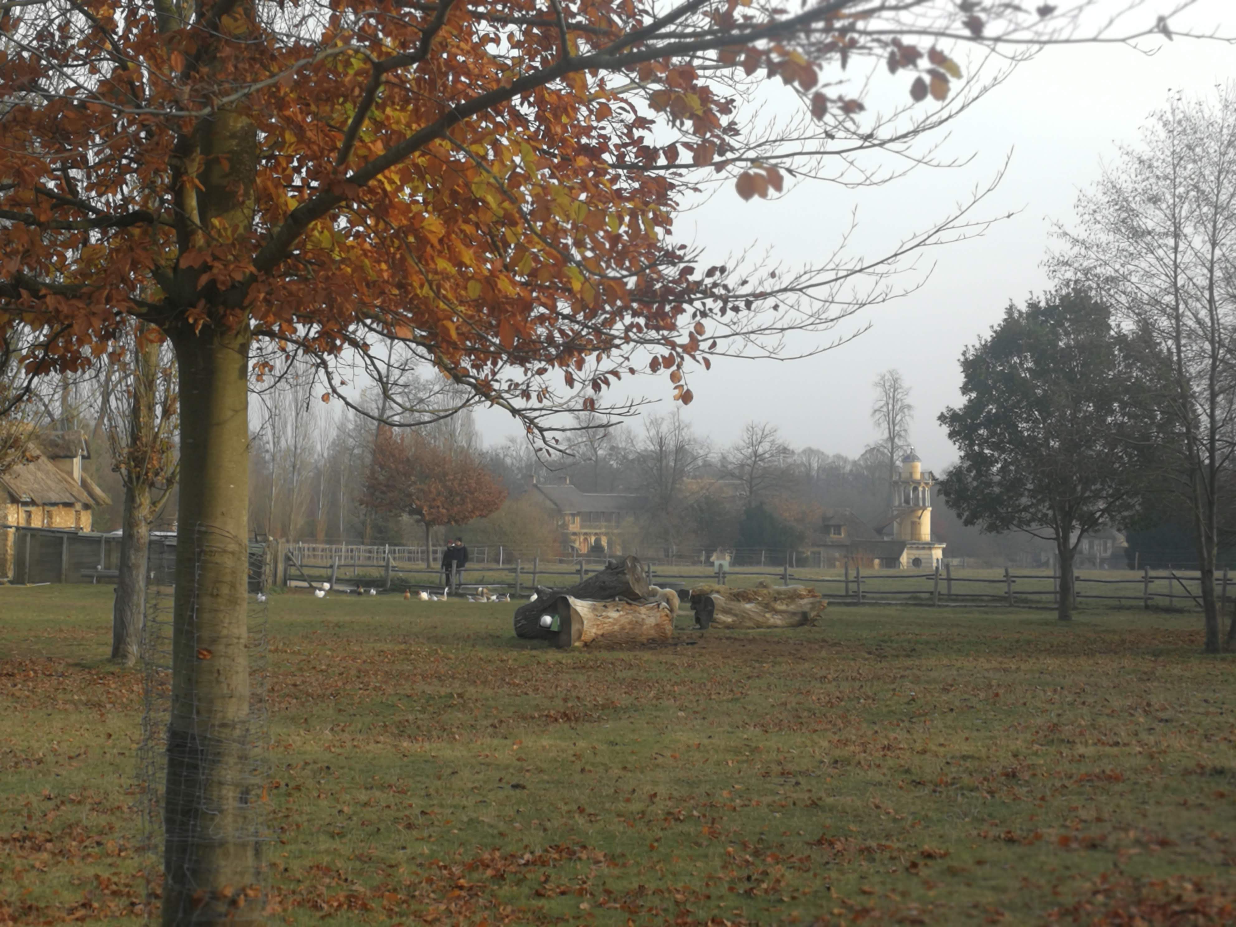 Photo n° 4 de l'avis de David.o fait le 28/12/2018 à 16:17
