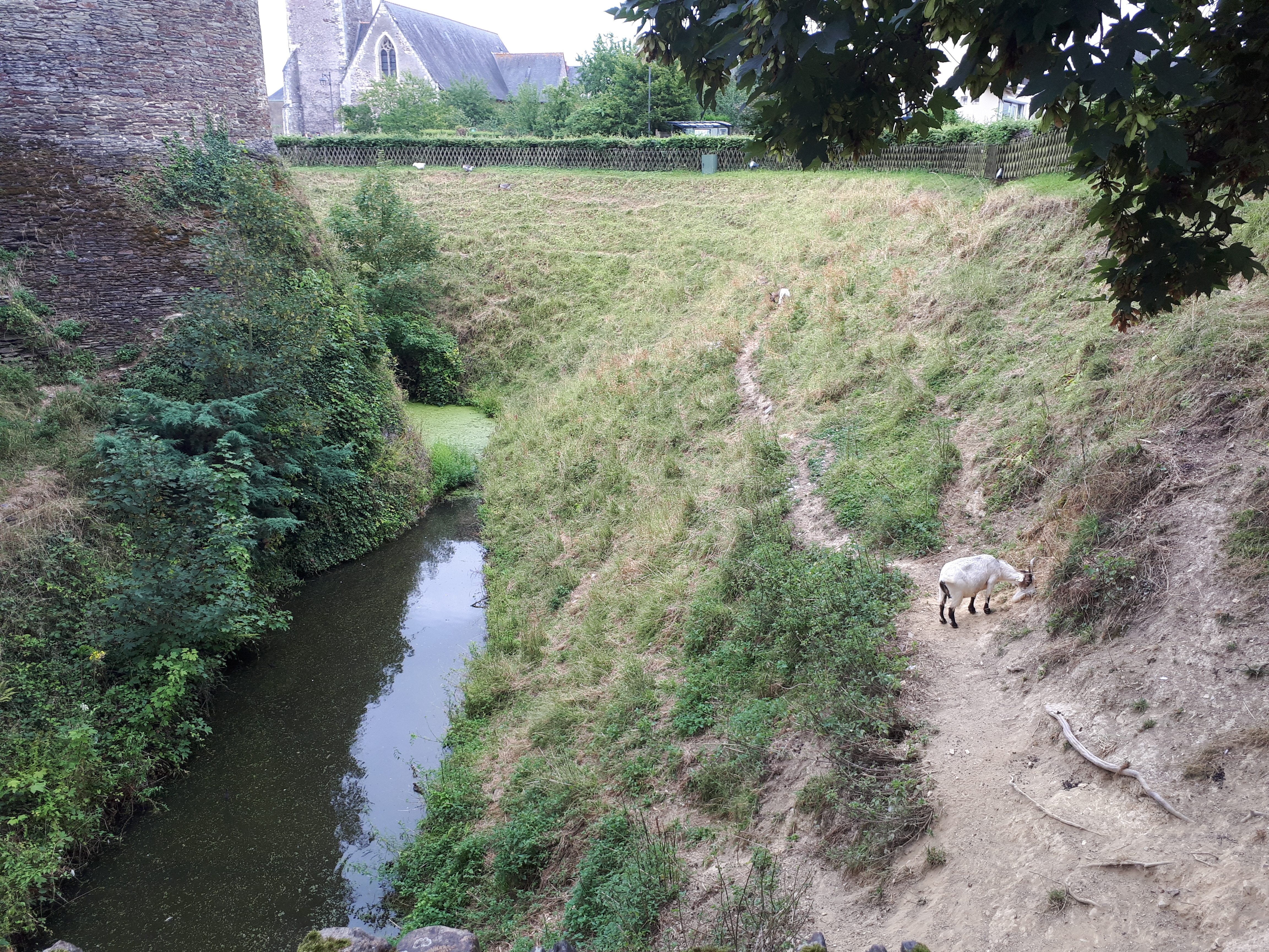 Photo n° 8 de l'avis de Benoît.E fait le 14/08/2018 à 19:35