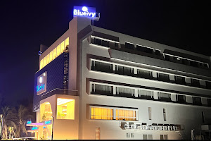 Hotel Blueivy image