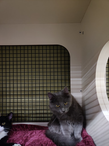 Pet Supply Store «Petco Animal Supplies», reviews and photos, 3637 2700 W, West Valley City, UT 84119, USA