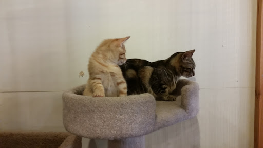 Pet Store «Next to Nature», reviews and photos, 4543 California Ave SW, Seattle, WA 98116, USA