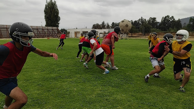 Opiniones de Estadio Municipal Ángel Navarrete Candia en Limache - Campo de fútbol