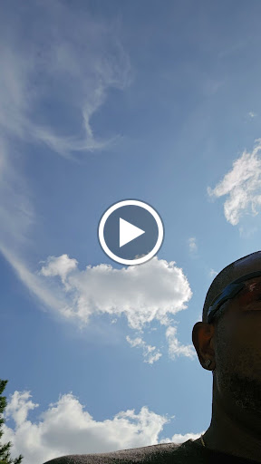 Explore back cover up tattoo ideas, creative tattoo ideas in Toledo, available at Piercings by Caitlin presents Holier Toledo