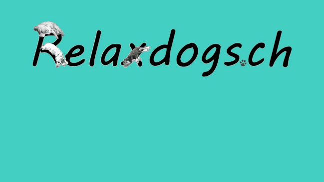 Rezensionen über Relaxdogs.ch in Schaffhausen - Hundeschule