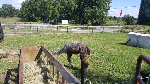 Tourist Attraction «Shawhaven Farm», reviews and photos, 1826 Rolfe Rd, Mason, MI 48854, USA