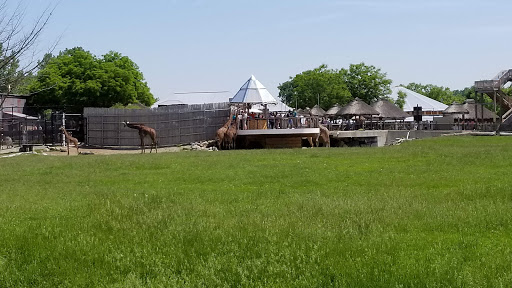 Zoo «Toledo Zoo», reviews and photos, 2 Hippo Way, Toledo, OH 43609, USA
