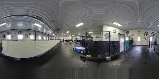 Dog Day Care Center «Pet Me Scratch Me», reviews and photos, 2551 E Main St, Onalaska, WI 54650, USA