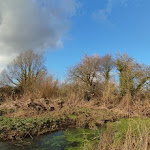 Photo n° 7 de l'avis de Mikhail.o fait le 15/07/2022 à 14:18 pour Réserve naturelle nationale des étangs du Romelaëre à Clairmarais