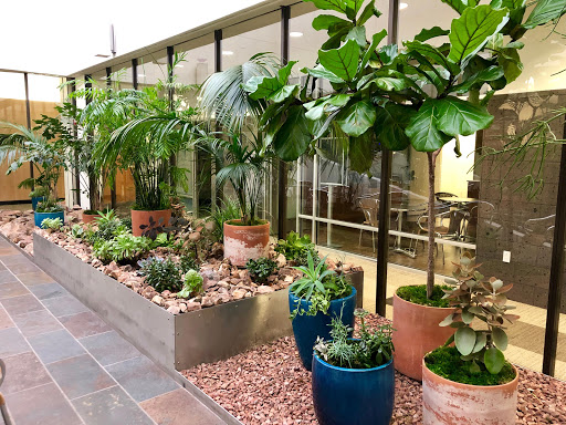 Greenleaf Interior Plant Solutions | Living Walls | Moss Walls | Indoor Plant Maintenance