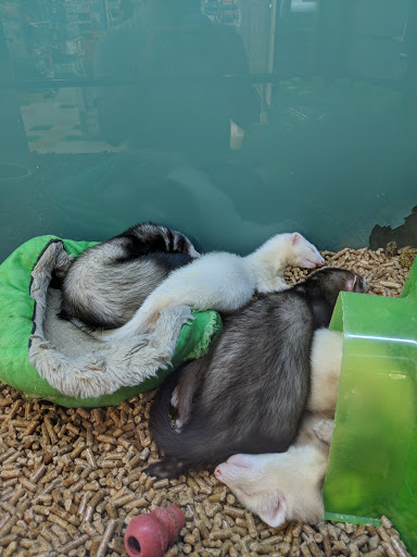 Pet Supply Store «Pet Supplies Plus», reviews and photos, 690 N State St, Westerville, OH 43082, USA