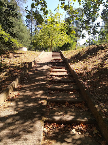 Fonte termal Vale da Mó - Spa