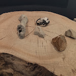 Photo n°5 de l'avis de paolo.a fait le 03/10/2020 à 13:13 sur le  Centro Visite Gradina/Sprejemni center Gradina à Doberdò del Lago