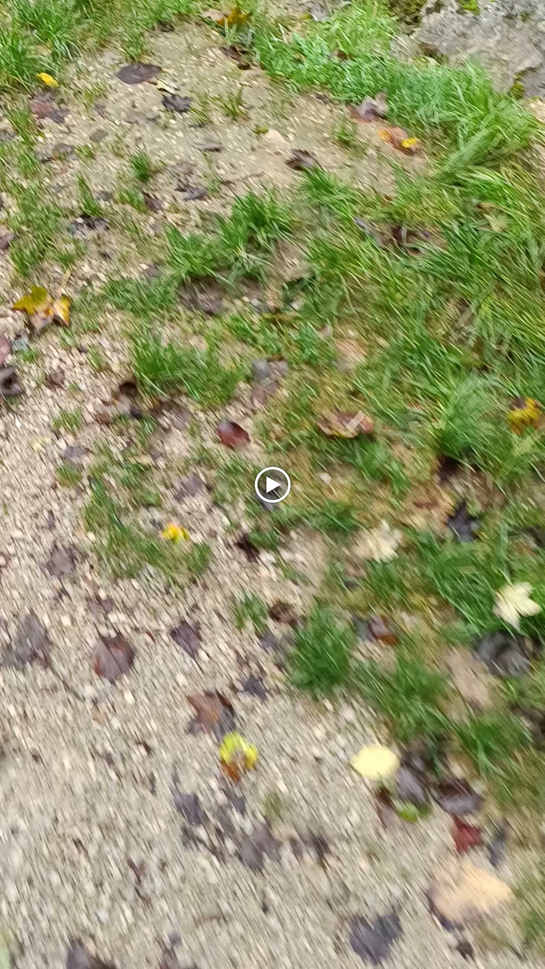 Photo n° 2 de l'avis de Momo.e fait le 31/10/2023 à 08:16