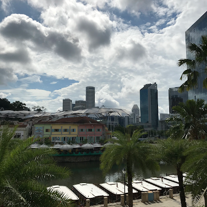 سنغافورة مركز بوين للعافية - Singapore Bowen Wellness Centre