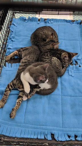 Pet Supply Store «Petco Animal Supplies», reviews and photos, 1370 Holiday Ln a, Fairfield, CA 94533, USA