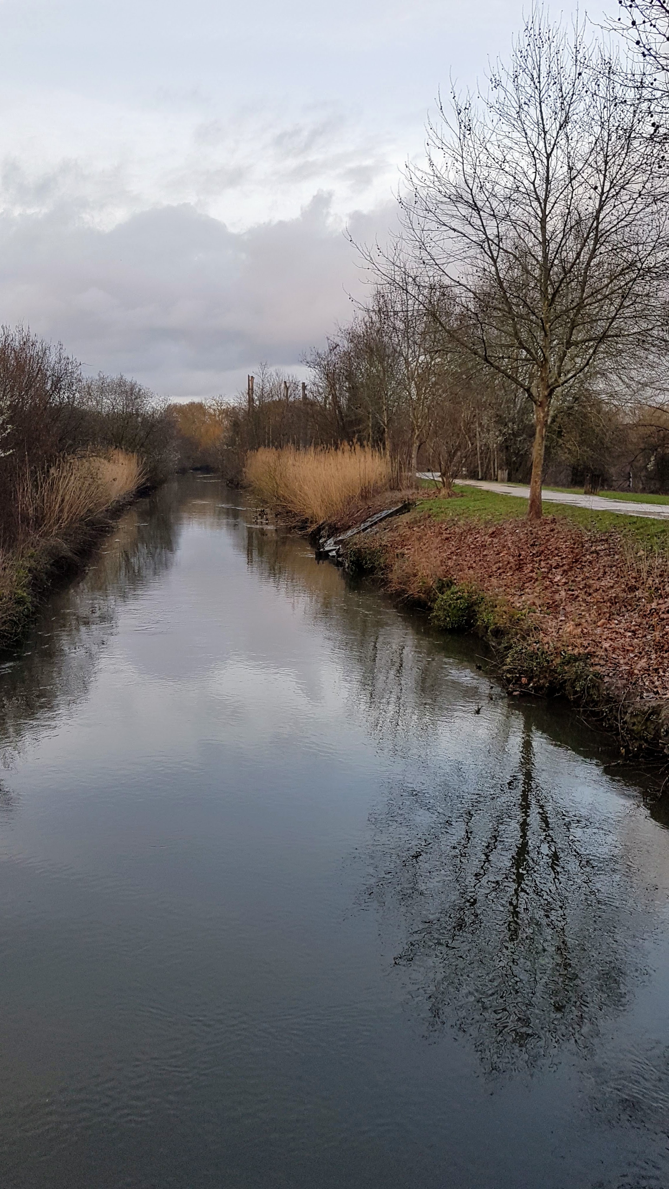 Photo n° 7 de l'avis de Jean-marie.o fait le 06/03/2019 à 12:51