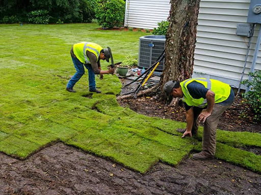EverTurf Sod and Installation