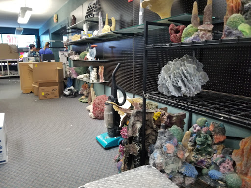 Pet Supply Store «Seascape Aquarium & Pet Center», reviews and photos, 2162 Gulf Gate Dr, Sarasota, FL 34231, USA
