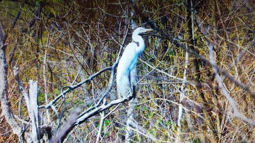 Golf Course «Douglaston Golf Course», reviews and photos, 6320 Marathon Pkwy, Douglaston, NY 11363, USA