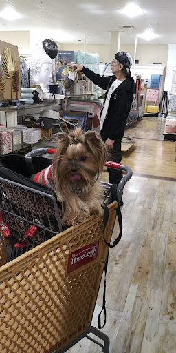 Department Store «HomeGoods», reviews and photos, 7170 E Broadway Blvd, Tucson, AZ 85710, USA