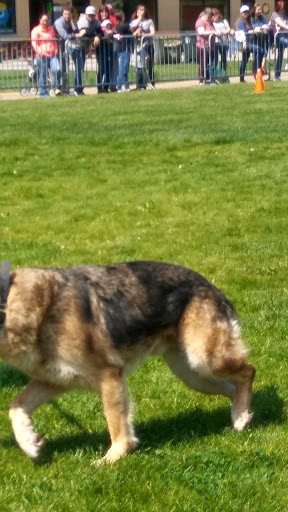 Live Music Venue «Lock 3 Park», reviews and photos, 200 S Main St, Akron, OH 44308, USA