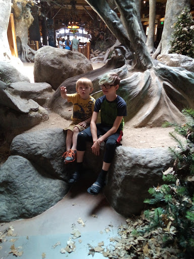 Sporting Goods Store «Bass Pro Shops Base Camp», reviews and photos, 2500 E Kearney St, Springfield, MO 65803, USA