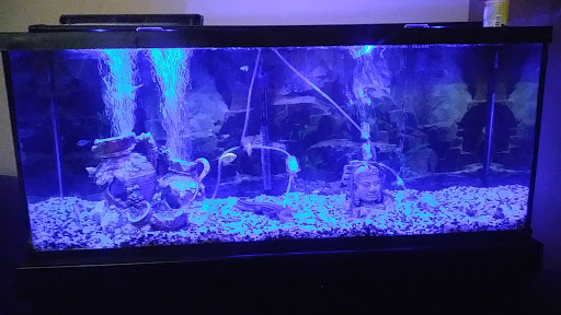 Pet Store «Feeders Supply», reviews and photos, 187 Adam Shepherd Pkwy # 2, Shepherdsville, KY 40165, USA