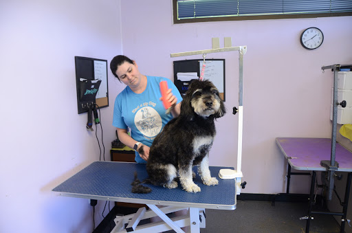 Dog Trainer «Mad 4 My Dog», reviews and photos, 702 E Temperance St, Ellettsville, IN 47429, USA