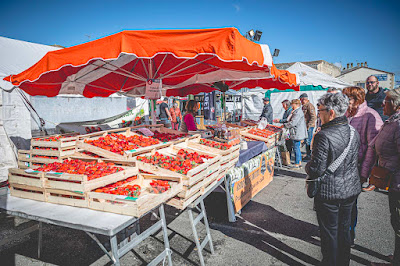 Fête de l'Asperge du Blayais à Étauliers