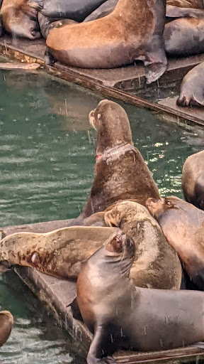 Coffee Shop «Bayscapes Gallery & Coffee house», reviews and photos, 333 SW Bay Blvd, Newport, OR 97365, USA