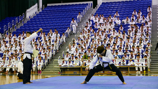 Korea Taekwondo Cheung Do Kwan (STT)