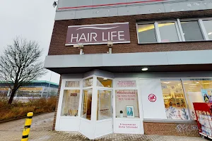 Hairlife by Hartmut Klotz image