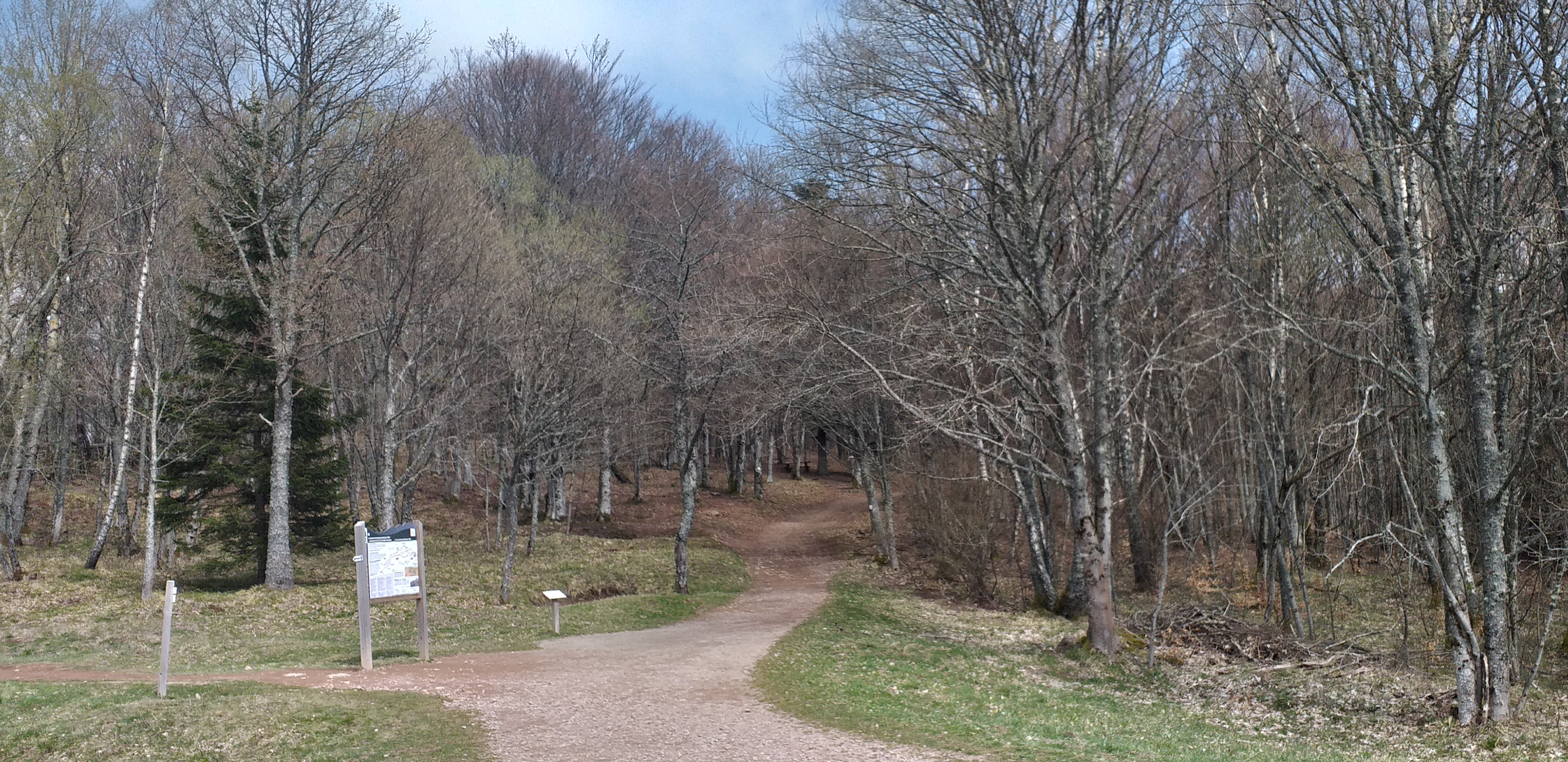 Photo n° 45 de l'avis de Stéphanie.e fait le 15/04/2019 à 14:42