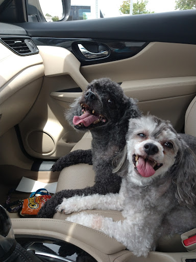 Pet Supply Store «PetSmart», reviews and photos, 1846 N Causeway Blvd B, Mandeville, LA 70471, USA