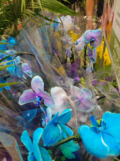 Home Improvement Store «The Home Depot», reviews and photos, 1881 Sunrise Hwy, Bay Shore, NY 11706, USA