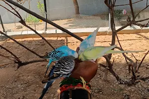 Rajali Birds Park image