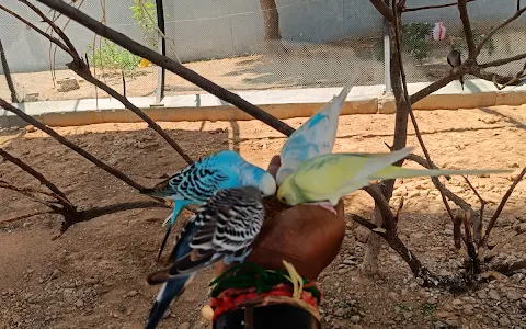 Rajali Birds Park image