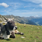 Photo n°8 de l'avis de Chiara.i fait le 29/08/2023 à 15:28 sur le  Prinz Rudolf Smarthotel & Camping Hermitage à Merano