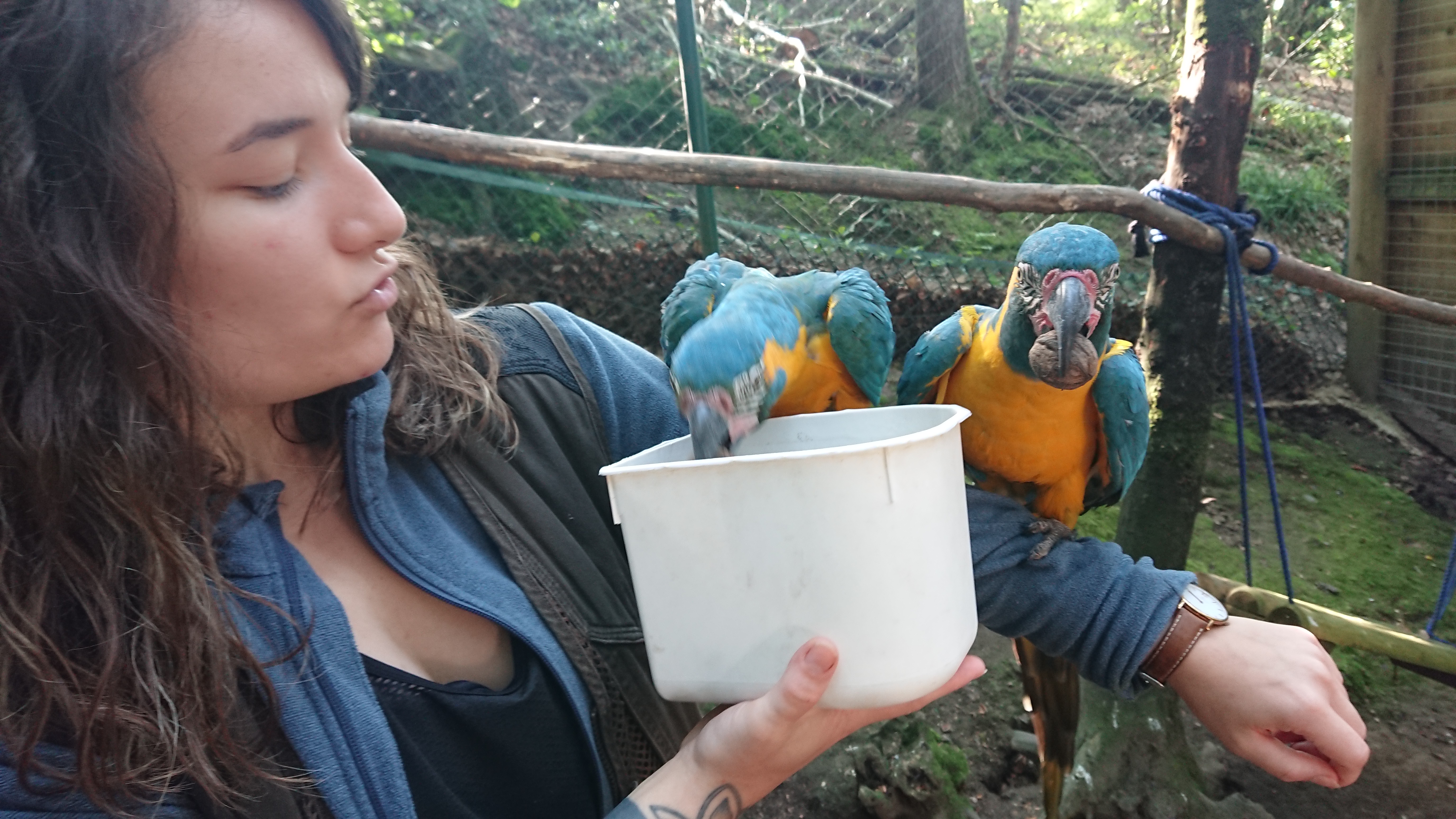 Photo n° 1 de l'avis de ludivine.a fait le 21/08/2021 à 14:21