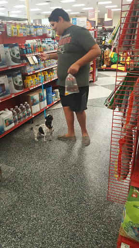 Pet Supply Store «Petco Animal Supplies», reviews and photos, 1250 William D Tate Ave #200, Grapevine, TX 76051, USA