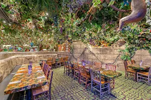 Rainforest Cafe image