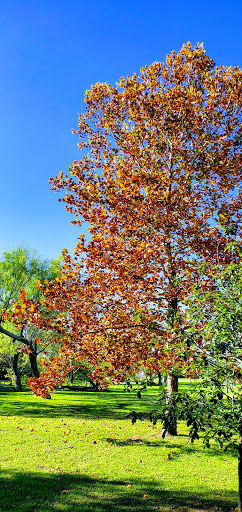 Park «John James Park», reviews and photos, 3910 Rittiman Rd, San Antonio, TX 78234, USA