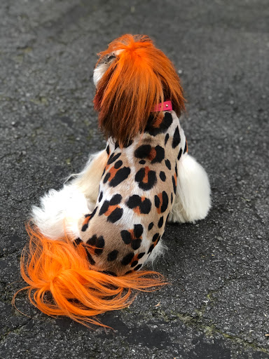 Pet Store «Canine Carousel», reviews and photos, 43135 Broadlands Center Plaza #129, Ashburn, VA 20148, USA